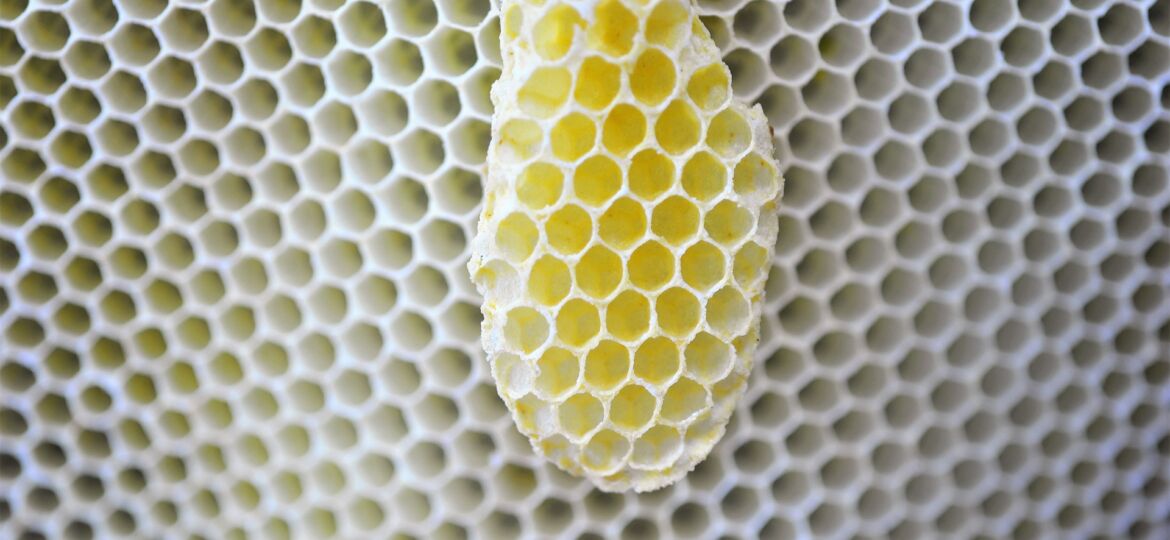 honeycomb-g851be305b_1920