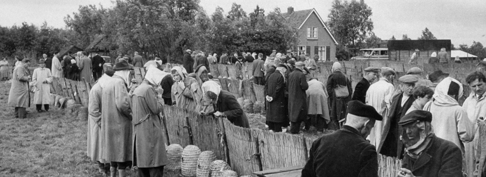 bee-market-in-the-netherlands-1956-1